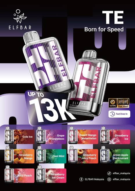 Elfbar TE 13000