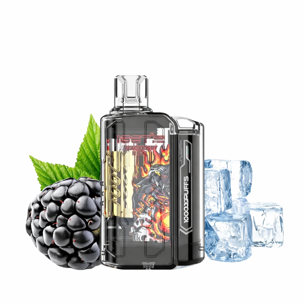 IGET FLARE B10000 – 10000 Puffs Disposable Vape