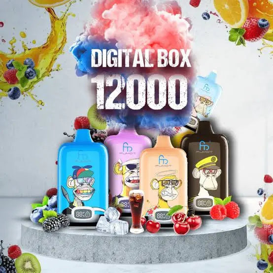 RandM Box 12000 Puffs | 50mg Nic Disposable | Type C Rechargeable | Battery & E Liquid Indicators