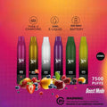 Disposable Pod Vape 14ml Prefilled Pods 7500 Puffs Rechargeable 650mAh